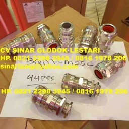 DQM-ll Series Explosion-proof Cable Glands DQM-ll-M25C (Ex d llC Ex e IIC)